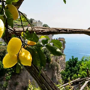 La Pergola Hotel